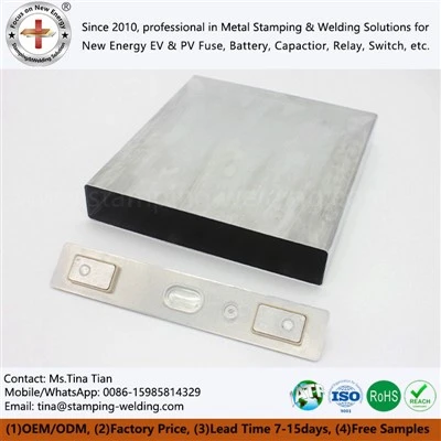 Prismatic Cell Case